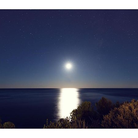 Condo With A Breathtaking View ドゥブロブニク エクステリア 写真